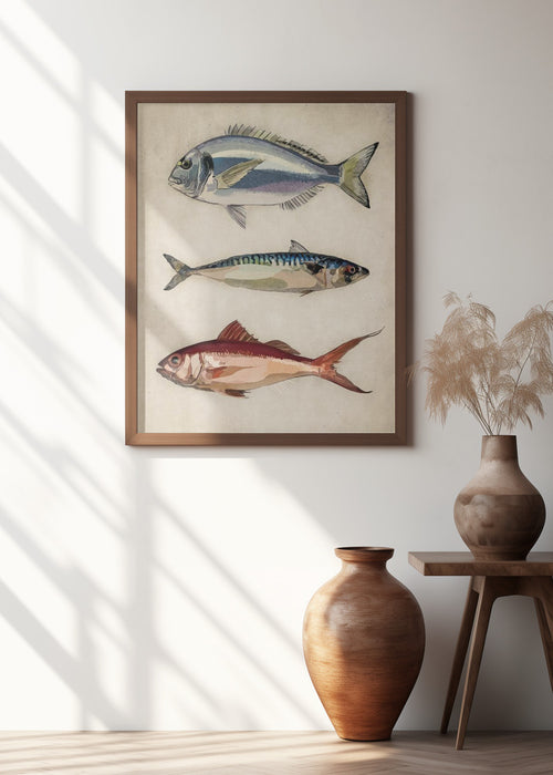 Deniz Baliklari  Fish Framed Art Wall Decor