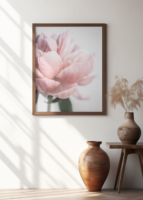 Peony 3 Framed Art Modern Wall Decor