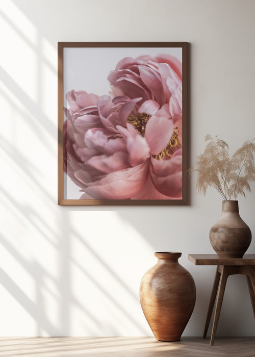 Peony Framed Art Modern Wall Decor