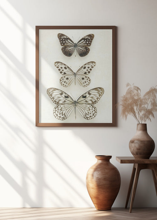 Three Neutral Butterflies Framed Art Modern Wall Decor