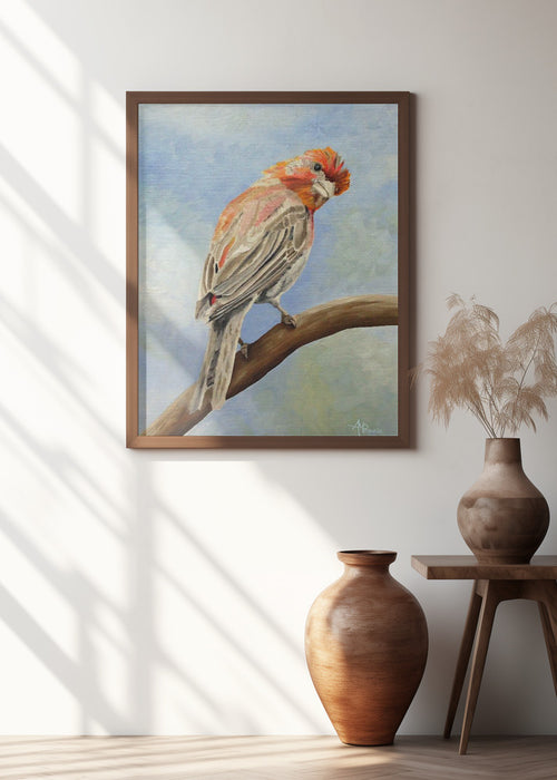 I Spy With My Little Eye   Male House Finch Framed Art Modern Wall Decor