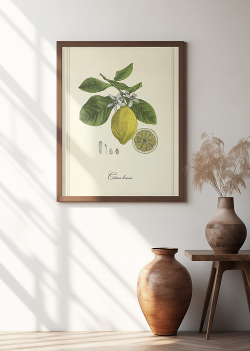 Lemon Framed Art Modern Wall Decor