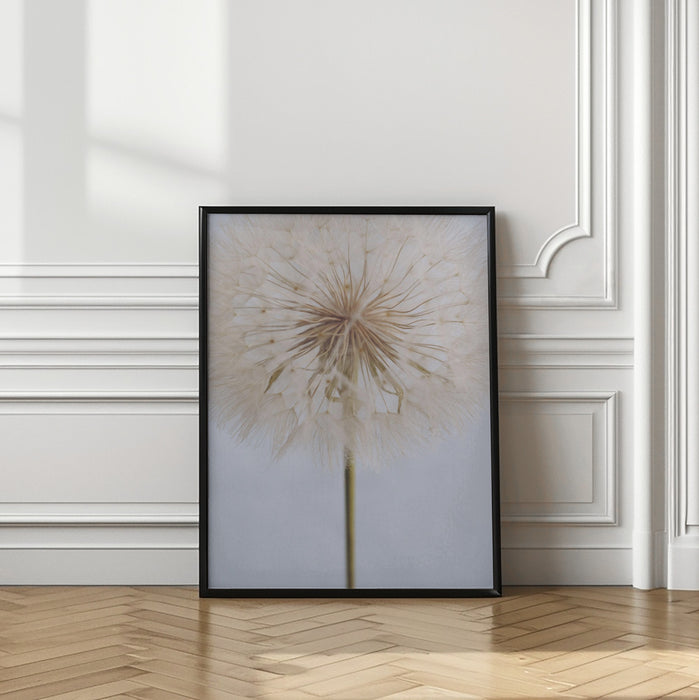 Delicate Dandelion Framed Art Wall Decor