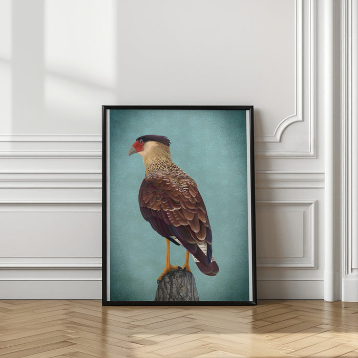 Carancho Framed Art Wall Decor