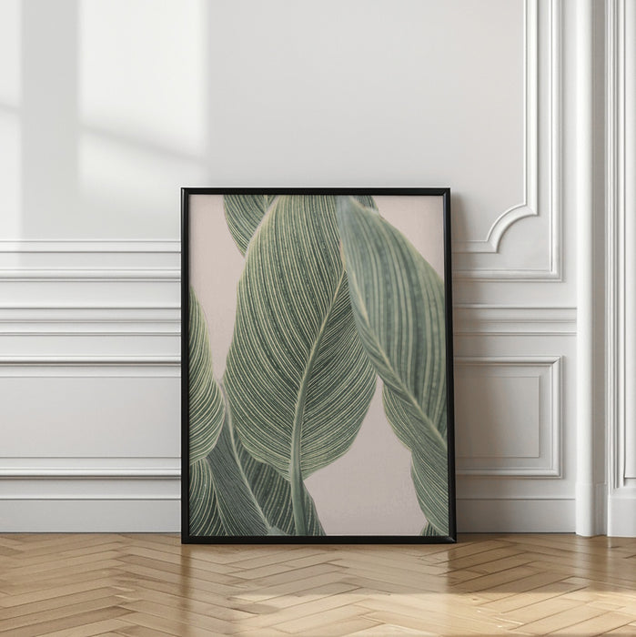 Calla Leaf Framed Art Wall Decor