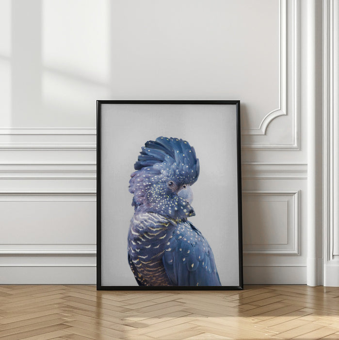 Black Cockatoo Framed Art Wall Decor