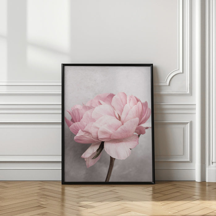 Peony Framed Art Wall Decor