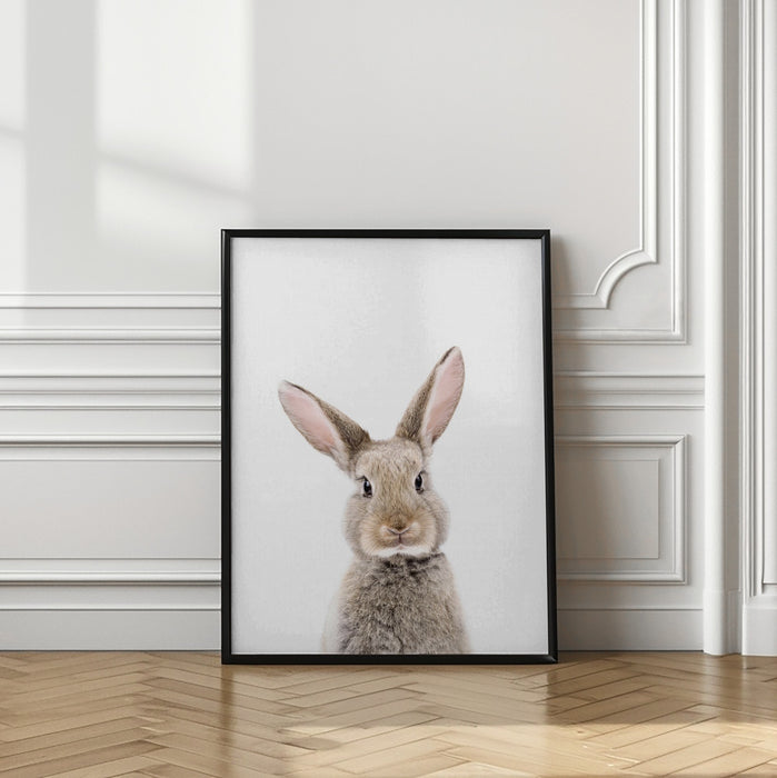 Baby Rabbit Framed Art Wall Decor