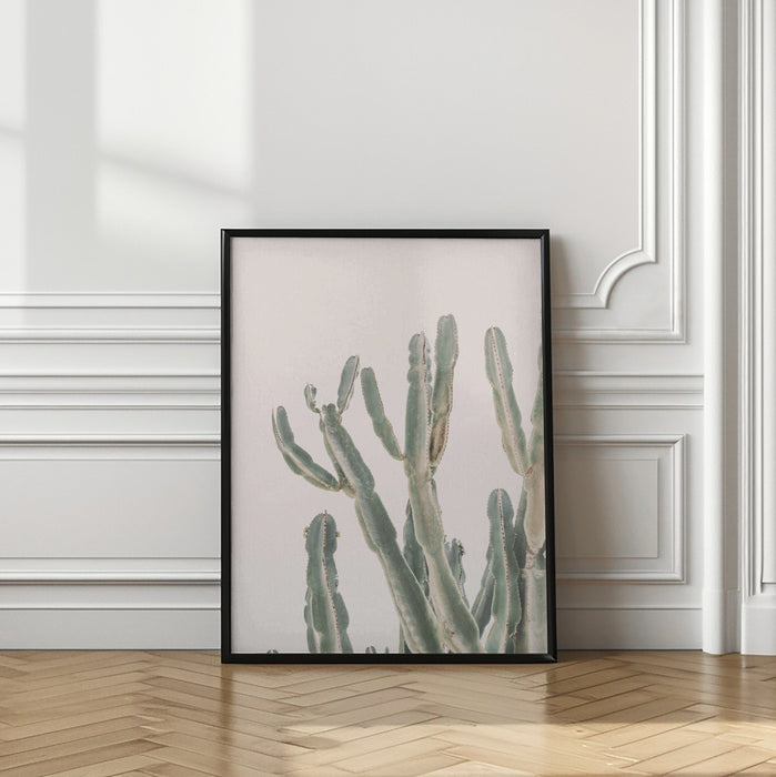 Sunrise Cactus Framed Art Modern Wall Decor