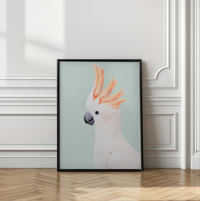 Cockatoo Framed Art Wall Decor