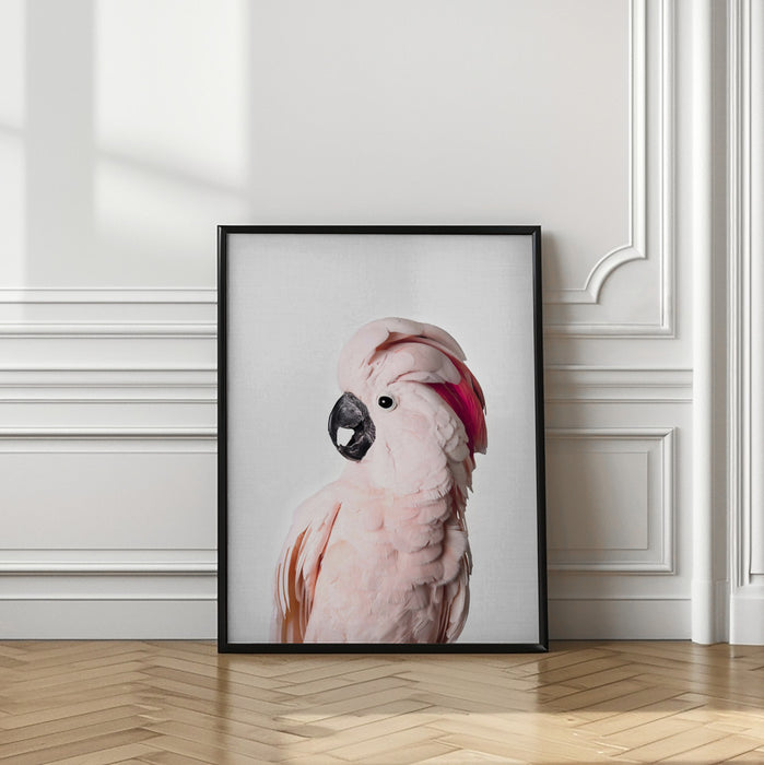 Pink Cockatoo Framed Art Modern Wall Decor