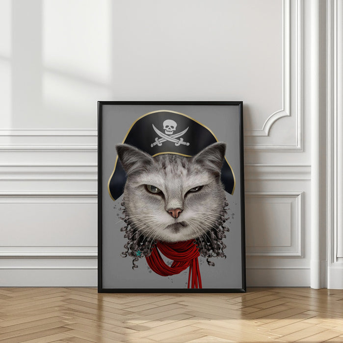 pirate Framed Art Modern Wall Decor