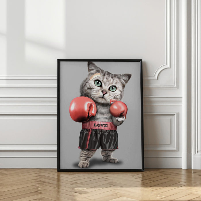 boxing cat Framed Art Modern Wall Decor