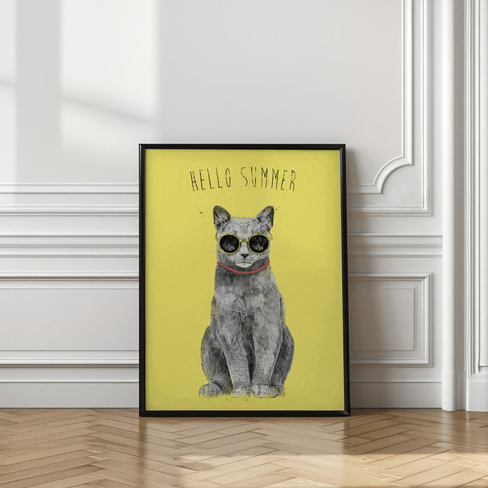 Hello Summer Framed Art Wall Decor