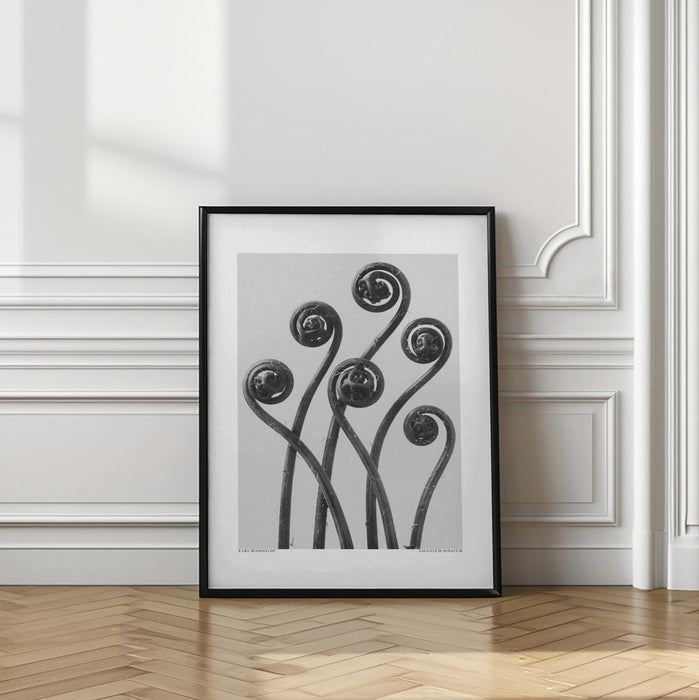 Adiantum pedatum Framed Art Modern Wall Decor