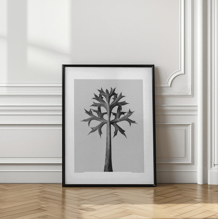 Eryngium Bourgatii Framed Art Modern Wall Decor