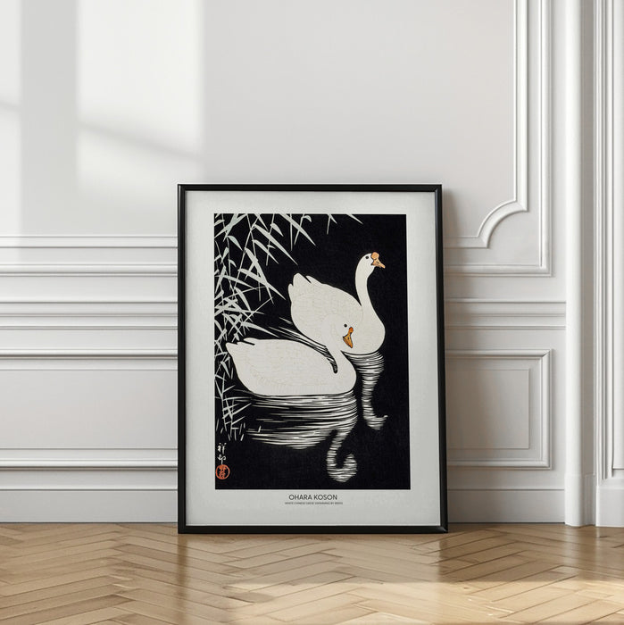 White Chinese Geese Swimming by Reeds Framed Art Modern Wall Decor