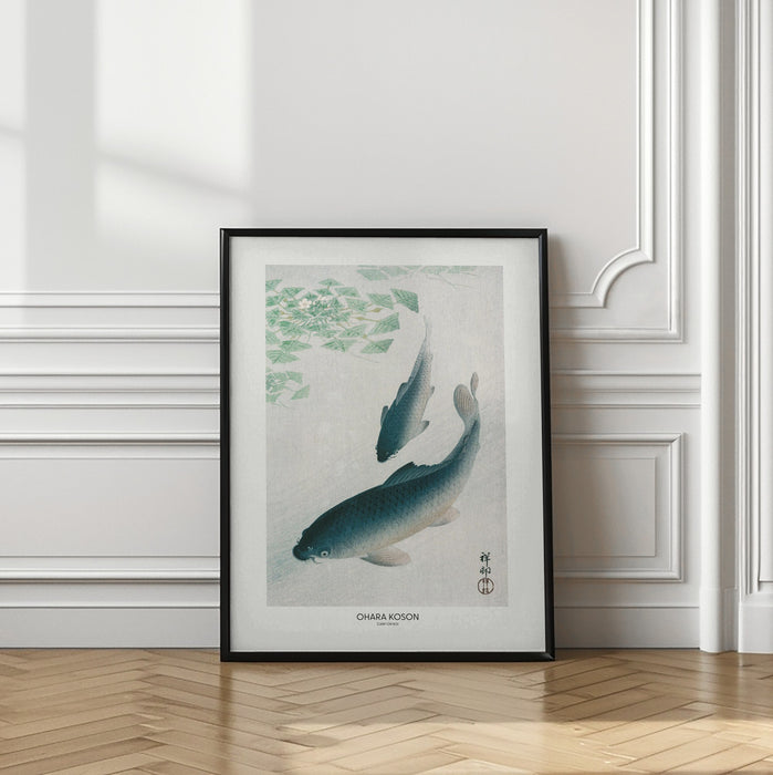 Carp Or Koi Framed Art Modern Wall Decor