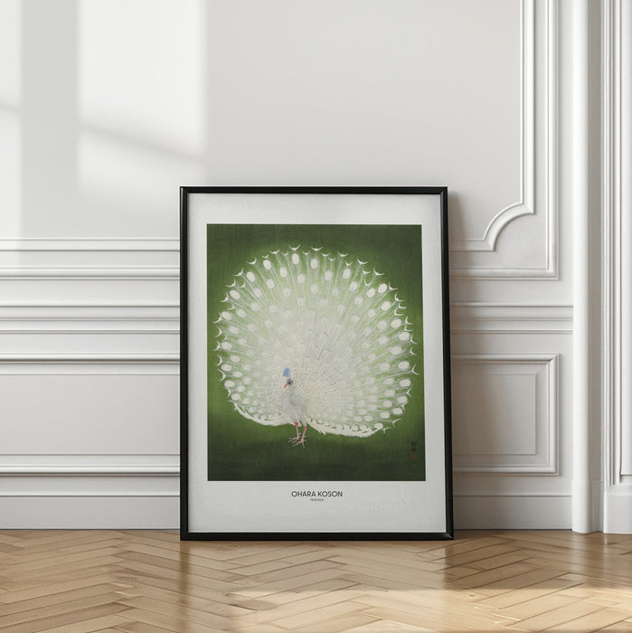 Peacock - Wide Framed Art Wall Decor