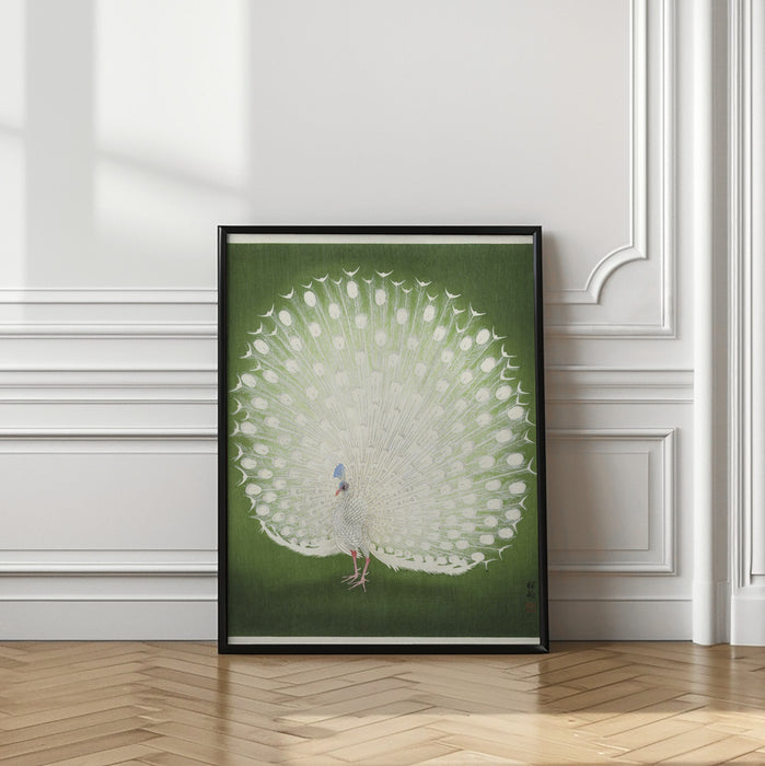 Peacock Framed Art Wall Decor