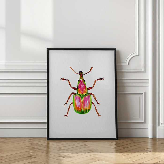 Apricot weevil or Epirhynchites auratus Framed Art Wall Decor