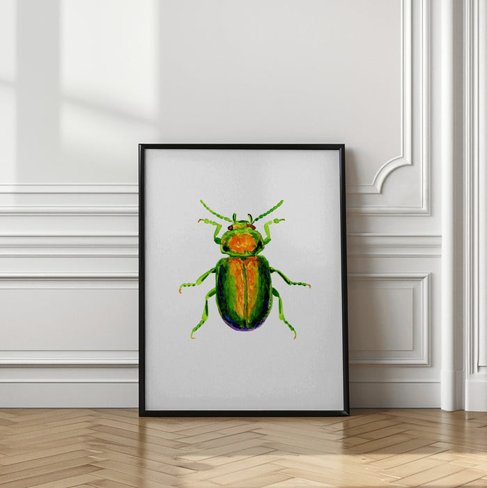 Tansy beetle or Chrysolina graminis Framed Art Modern Wall Decor