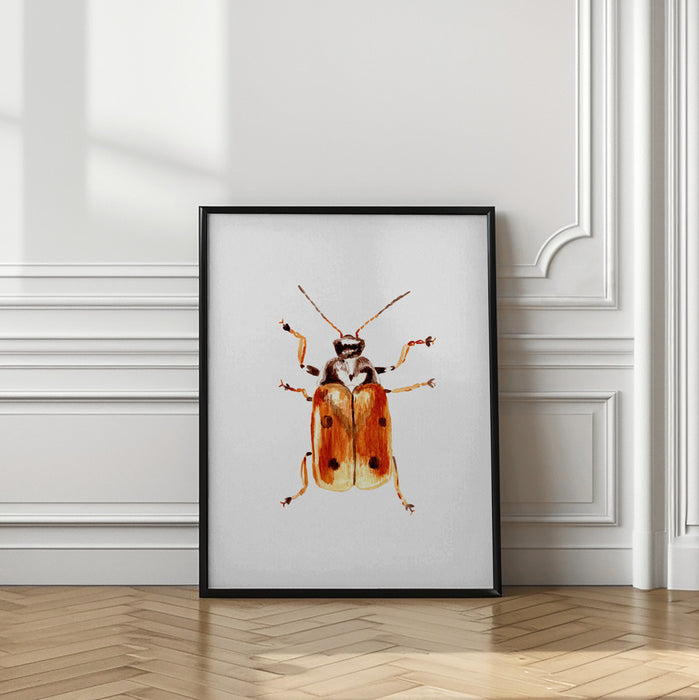 Another leaf beetle the Cryptocephalus cordiger Framed Art Wall Decor