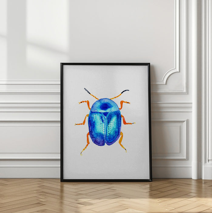 Blue leaf beetle or Colaphus sophiae Framed Art Wall Decor