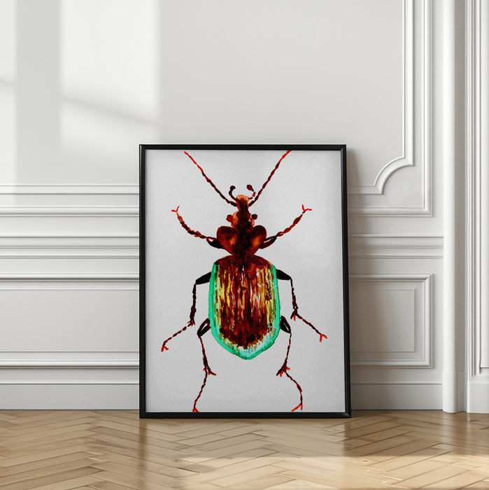 Caterpillar hunter beetle or Calosoma scrutator Framed Art Modern Wall Decor