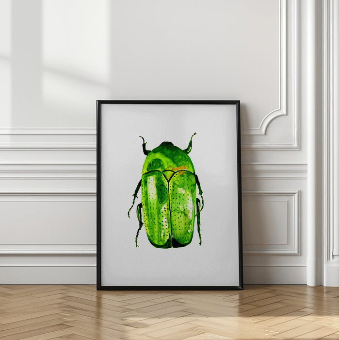 Green June beetle or Cotinis nitida Framed Art Wall Decor