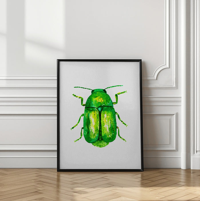 Cylindrical leaf beetle or Cryptocephalus sericeus Framed Art Wall Decor