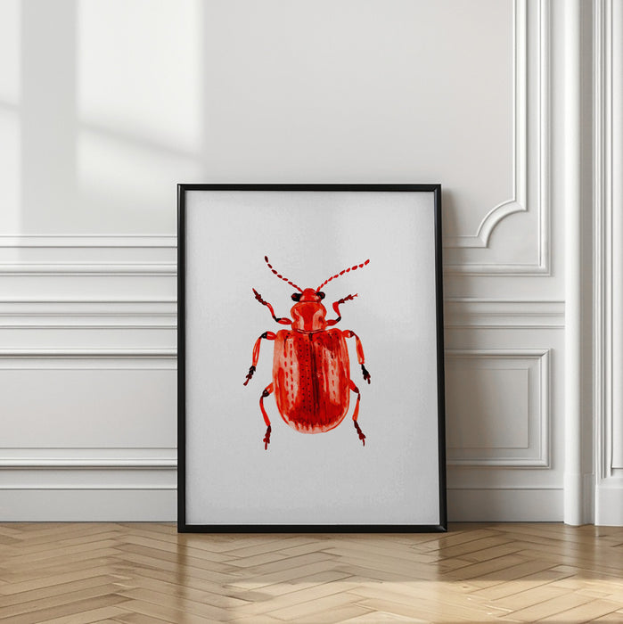 Onion beetle or Lilioceris merdigera Framed Art Wall Decor