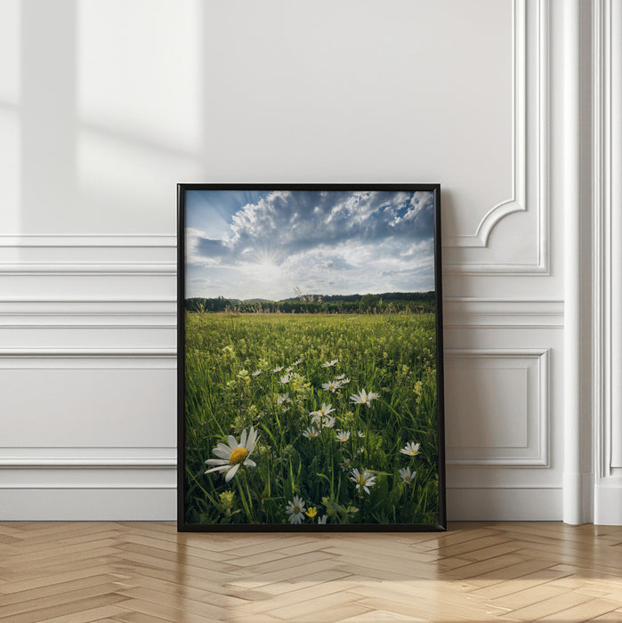 Flowering Meadow Framed Art Modern Wall Decor