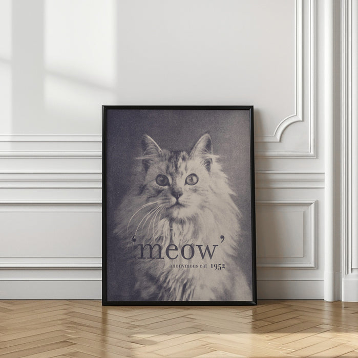 Famous Quote Cat Framed Art Modern Wall Decor