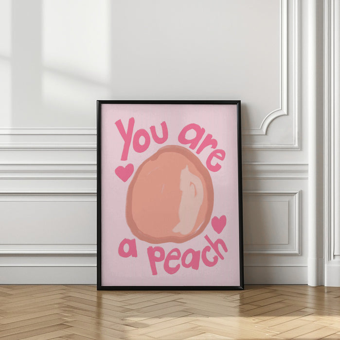 Peach Framed Art Modern Wall Decor