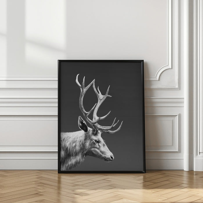 Reindeer Framed Art Wall Decor