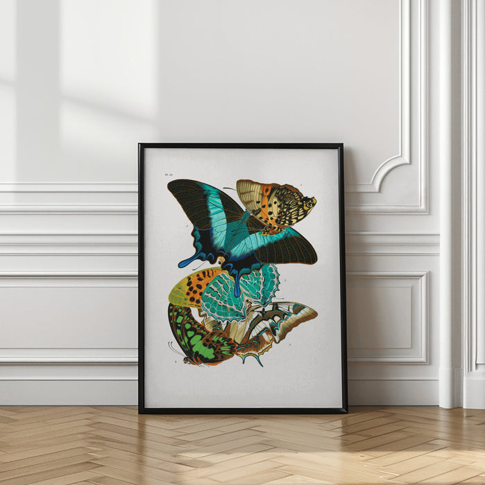 Butterflies 5 Framed Art Wall Decor