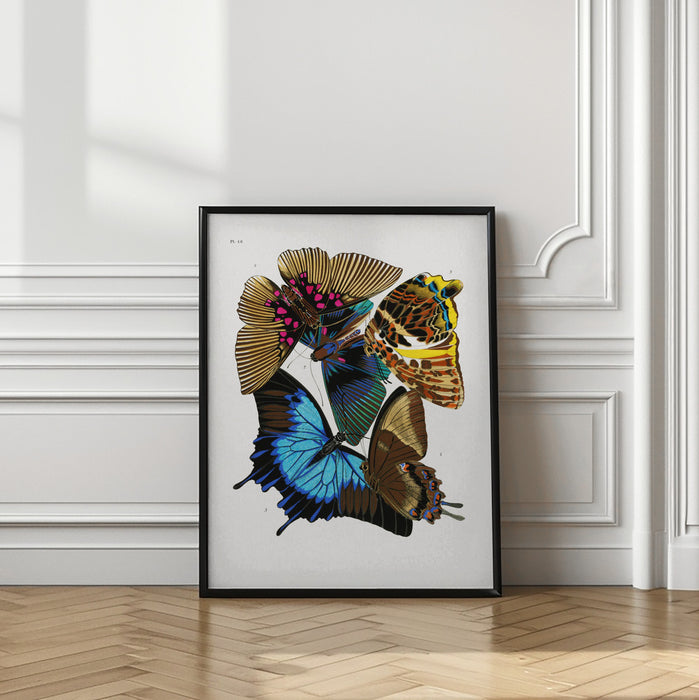 Butterflies 4 Framed Art Modern Wall Decor