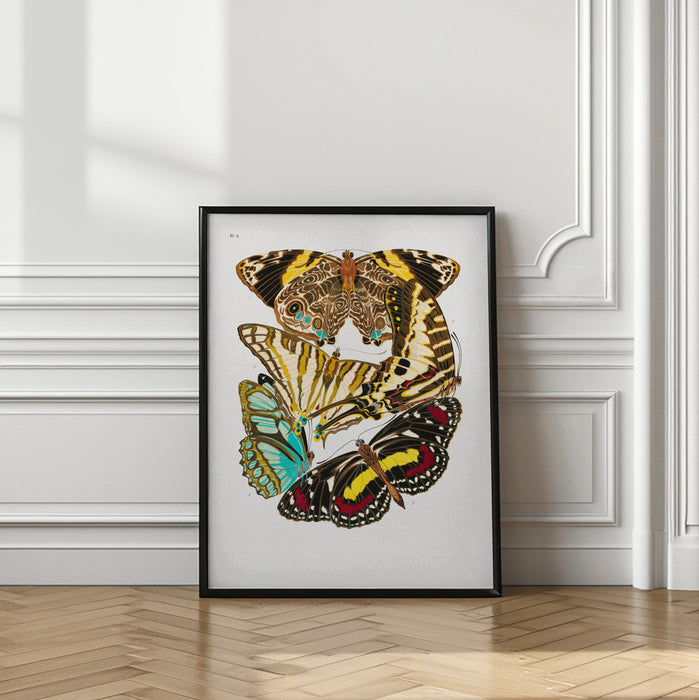 Butterflies 10 Framed Art Wall Decor