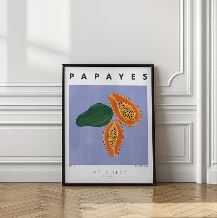 Papayes Framed Art Modern Wall Decor