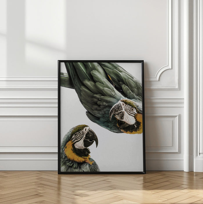 Amazonia Framed Art Modern Wall Decor