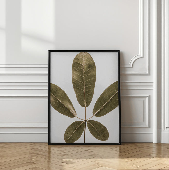 Autum Leaf Framed Art Wall Decor