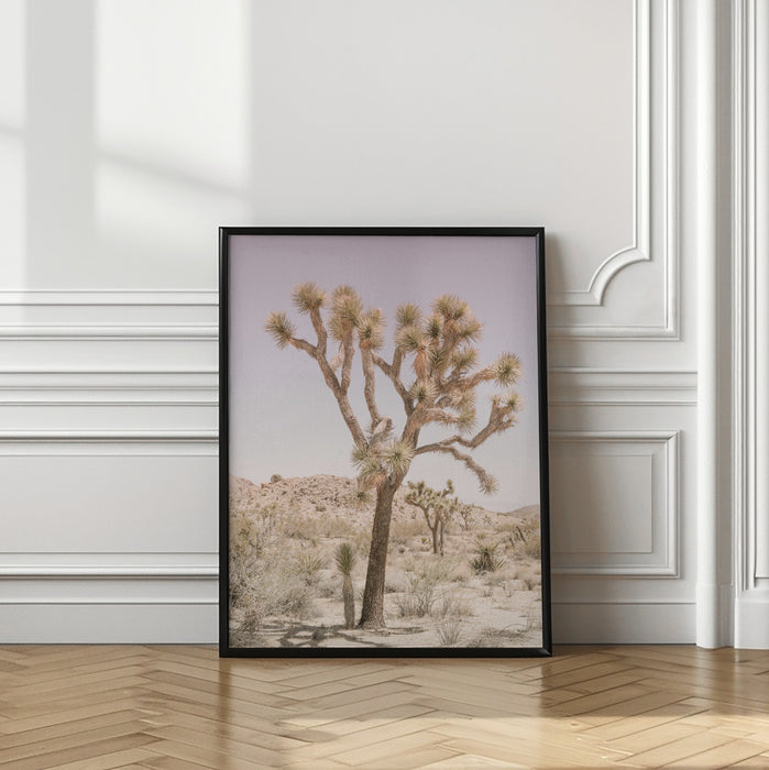 Joshua Tree Framed Art Modern Wall Decor