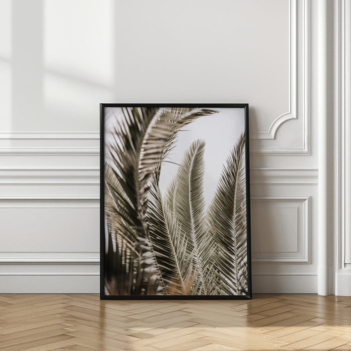 Palm Love Framed Art Modern Wall Decor