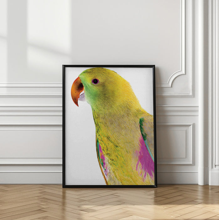 Polly Framed Art Wall Decor