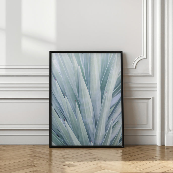 Tequilana Framed Art Wall Decor