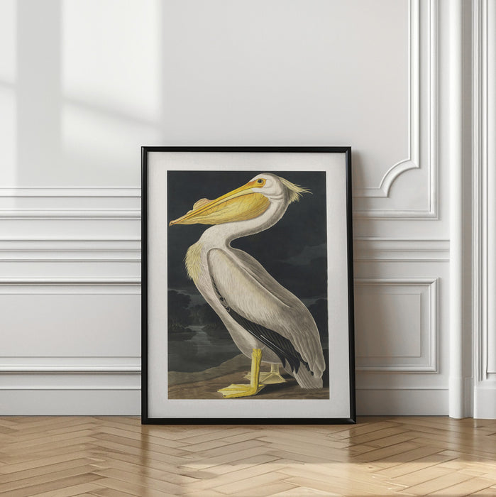 American White Pelican From Birds of America (1827) Framed Art Wall Decor