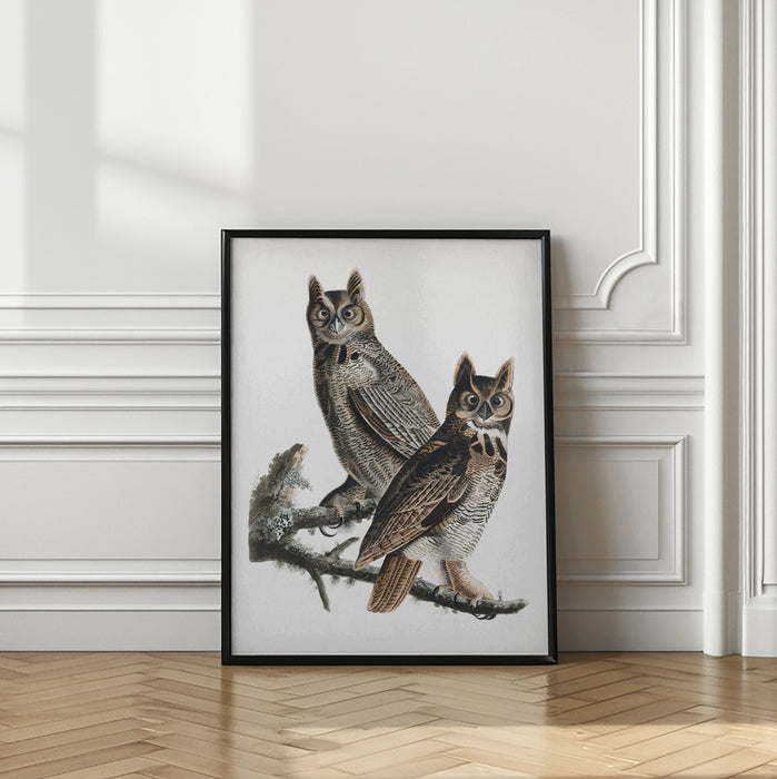 Great Horned Owl From Birds of America (1827) Framed Art Wall Decor