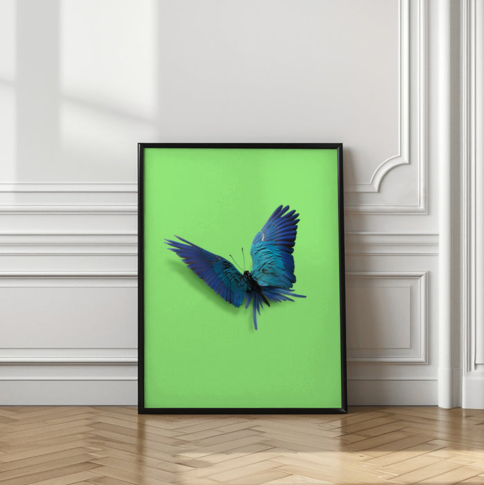 Parrot Butterfly Framed Art Modern Wall Decor