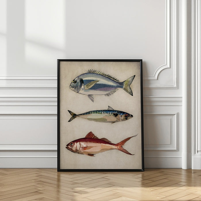 Deniz Baliklari  Fish Framed Art Wall Decor